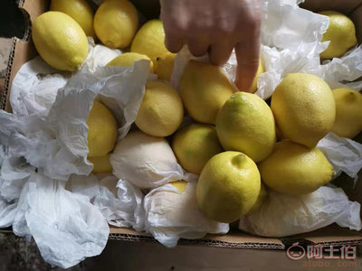 广州集果轩 南非柠檬原箱批发，餐饮饮品加工优质之选